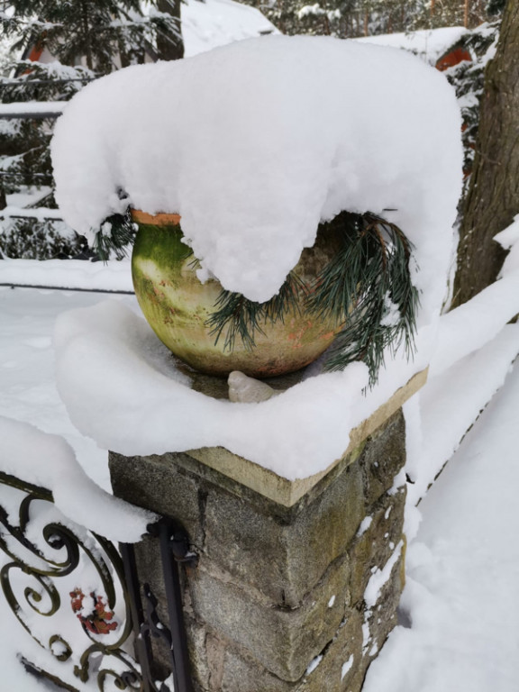 My się zimy nie boimy!