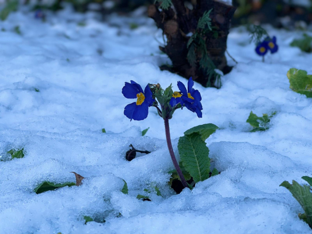 My się zimy nie boimy!
