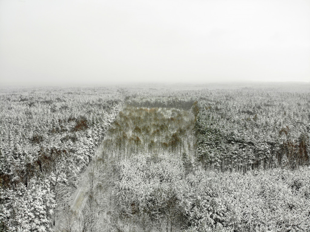 My się zimy nie boimy!