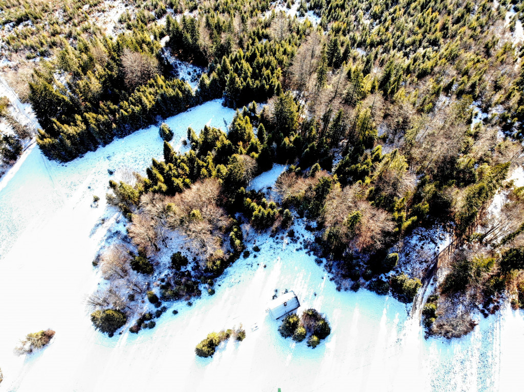 My się zimy nie boimy!