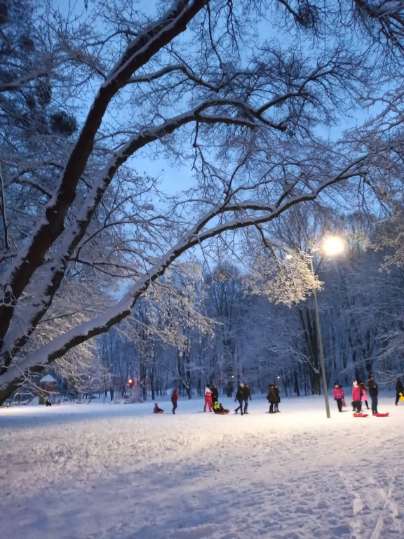 My się zimy nie boimy!