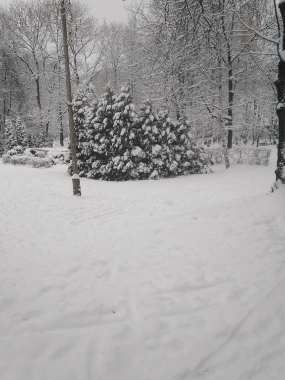 My się zimy nie boimy!