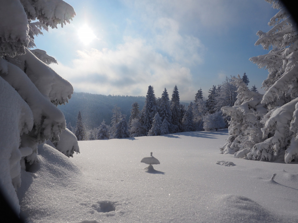 My się zimy nie boimy!