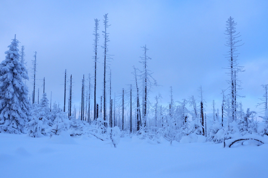 My się zimy nie boimy!