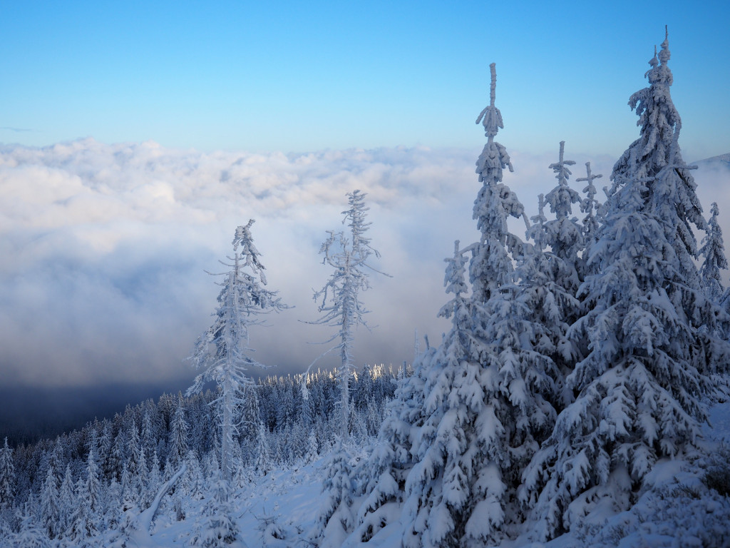 My się zimy nie boimy!