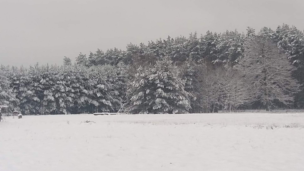 My się zimy nie boimy!