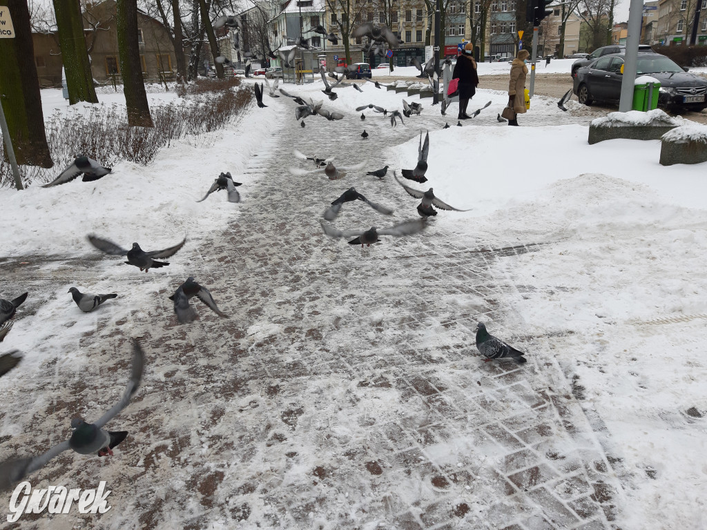Przejście po chodnikach prawdziwym wyzwaniem