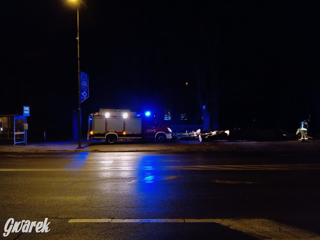 Drzewo przewróciło się na ul. Piłsudskiego