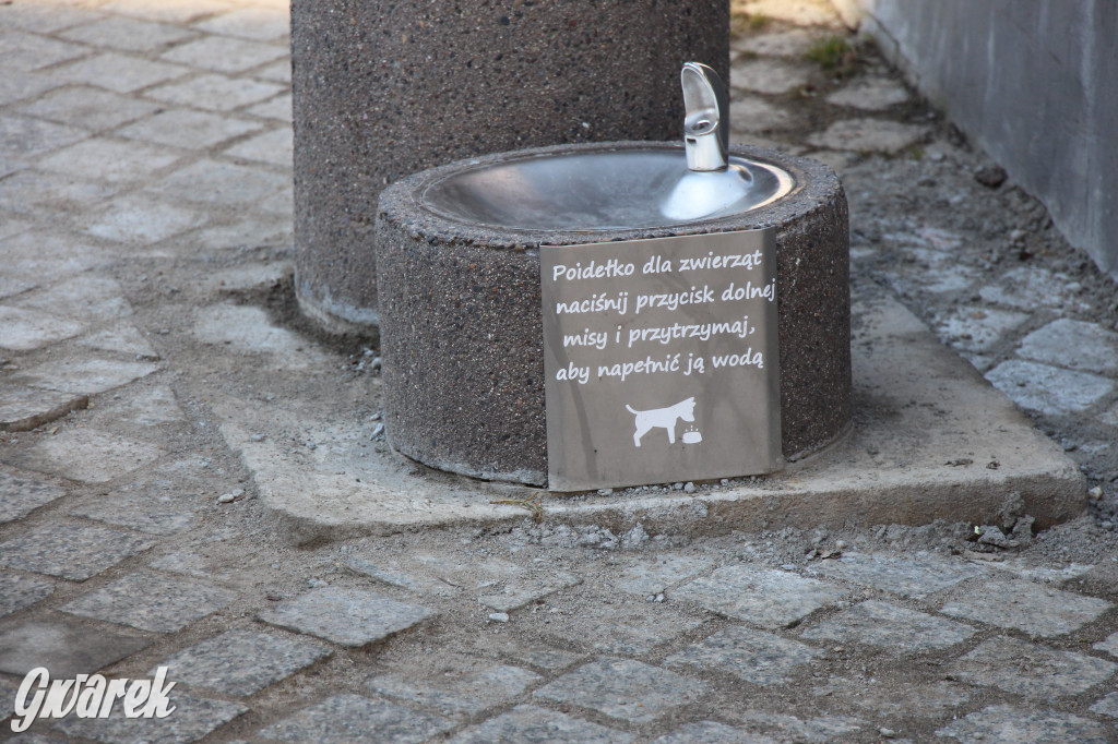 Hit czy nieporozumienie? Tarnogórski Rynek w nowej odsłonie