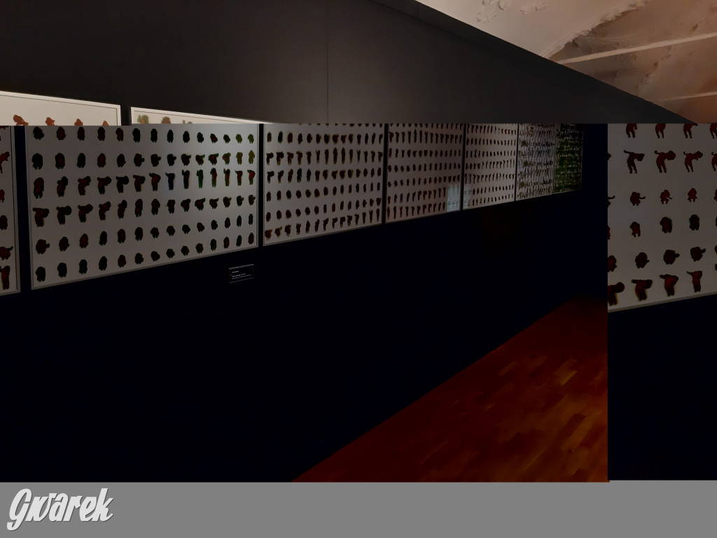 Kobiecym okiem. Trzy damskie spojrzenia na sztukę