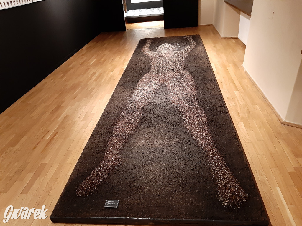 Kobiecym okiem. Trzy damskie spojrzenia na sztukę