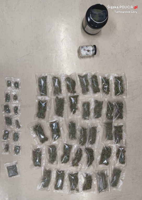 Plantacja konopi w garażu