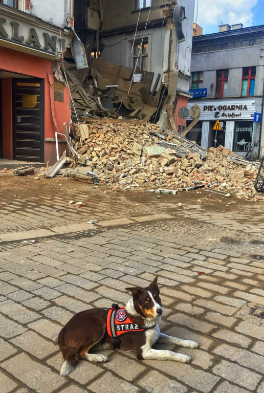 Nasi w akcji na gruzowisku kamienicy w Rybniku