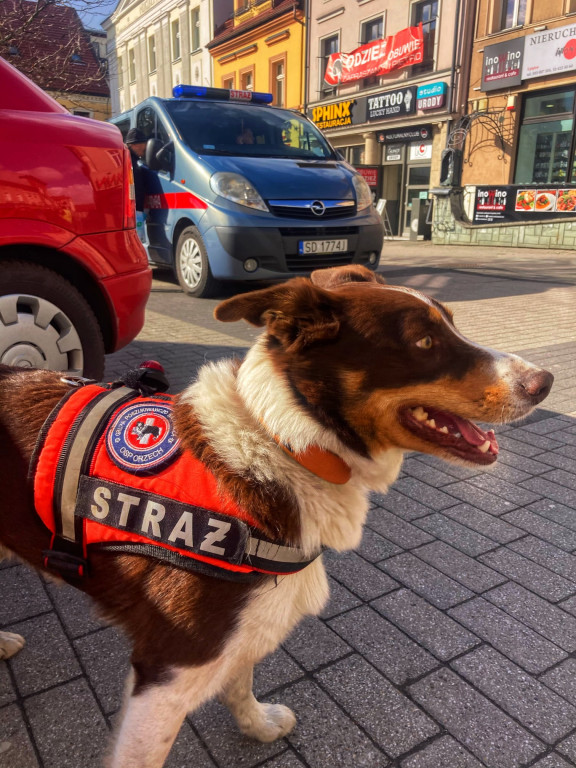 Nasi w akcji na gruzowisku kamienicy w Rybniku