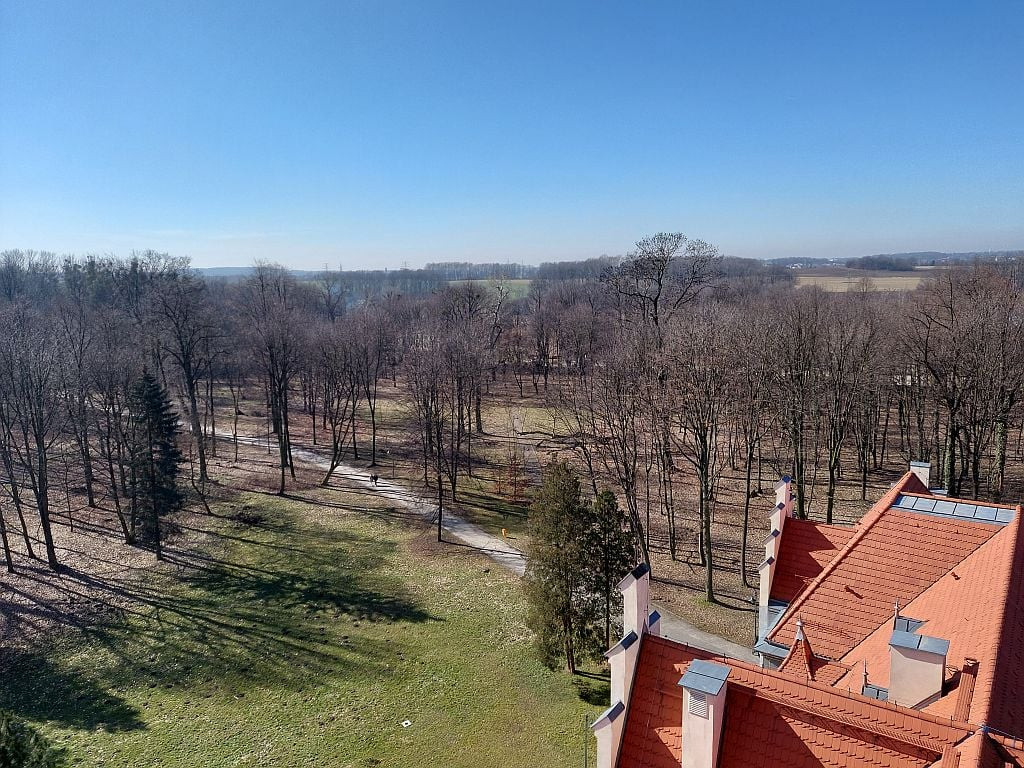 Co widać z wieży w Nakle Śląskim? Widoki robią wrażenie