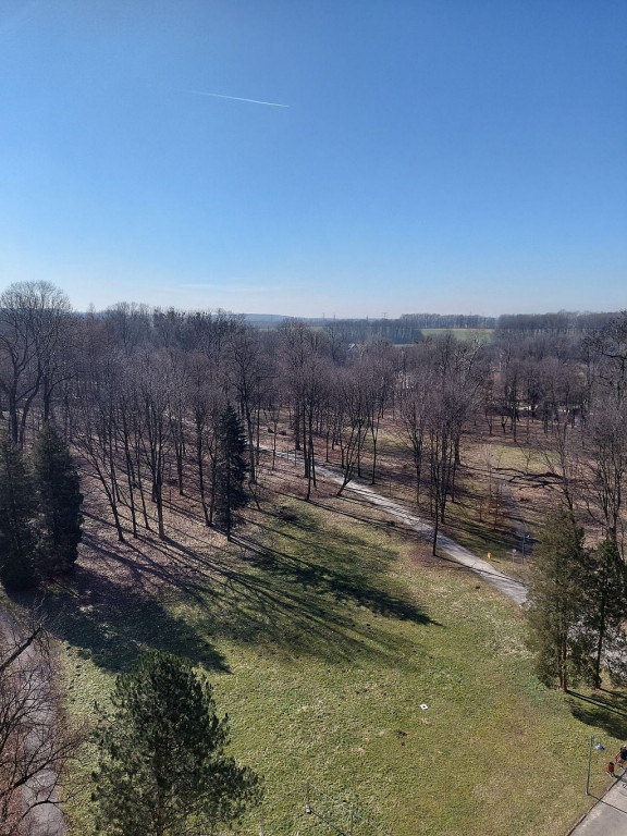 Co widać z wieży w Nakle Śląskim? Widoki robią wrażenie