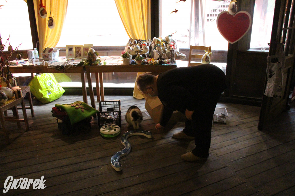 Mają jaja i nie tylko. Jarmark wielkanocny w Starej Stajni u Wojtachy