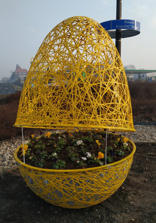 Jaja pod urzędem miasta. I nie tylko tam