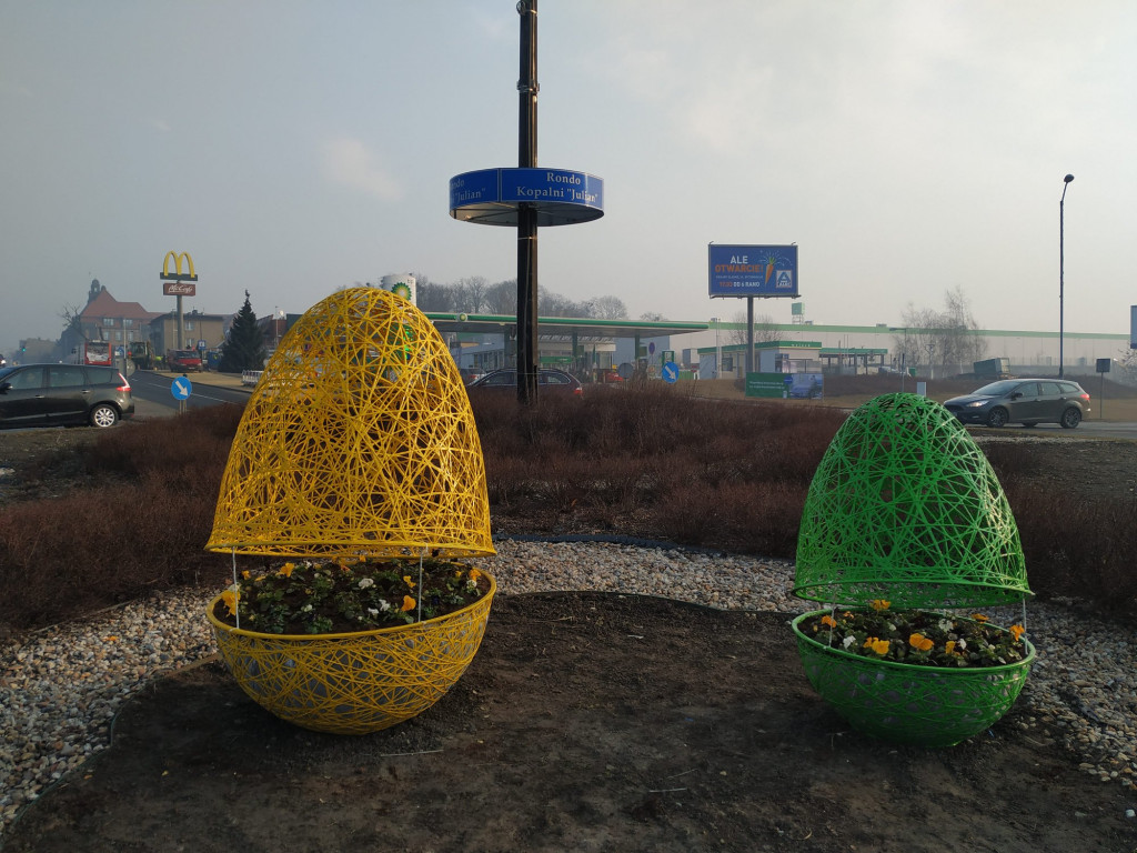 Jaja pod urzędem miasta. I nie tylko tam