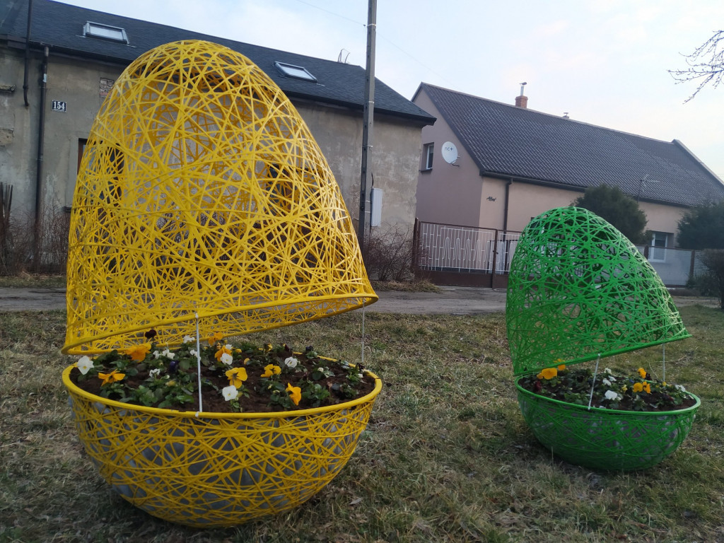 Jaja pod urzędem miasta. I nie tylko tam