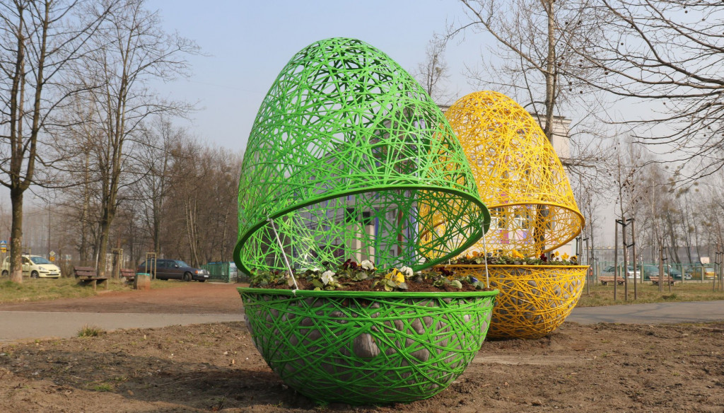 Jaja pod urzędem miasta. I nie tylko tam