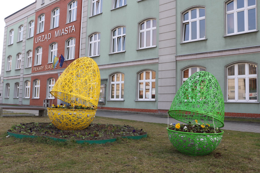 Jaja pod urzędem miasta. I nie tylko tam