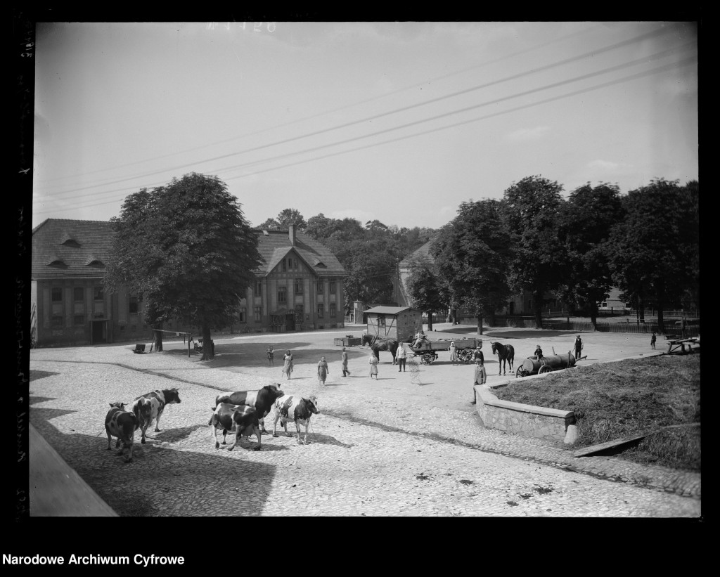 Pałac w Nakle przed wojną