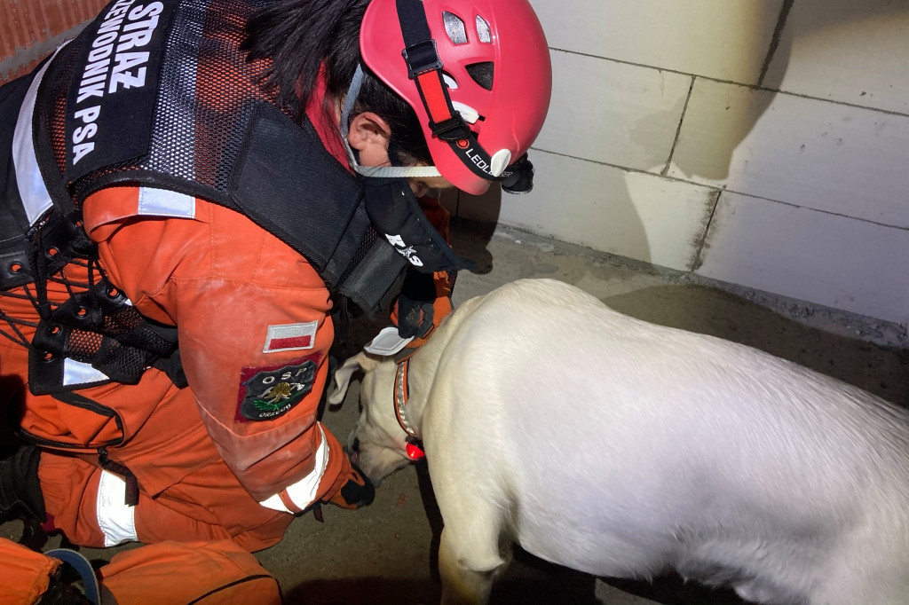 Psy i przewodnicy pokazali, że szukać potrafią