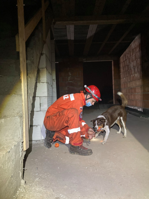 Psy i przewodnicy pokazali, że szukać potrafią