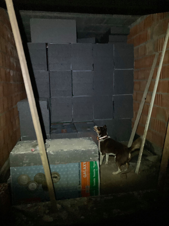 Psy i przewodnicy pokazali, że szukać potrafią