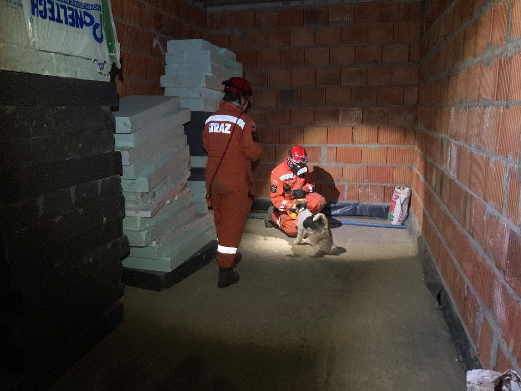 Psy i przewodnicy pokazali, że szukać potrafią