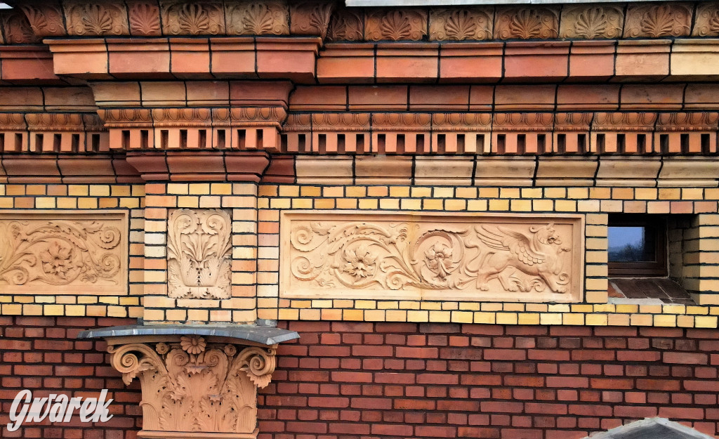 Tarnowskie Góry. Gryfy Staszica odzyskały blask