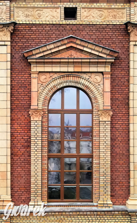 Tarnowskie Góry. Gryfy Staszica odzyskały blask