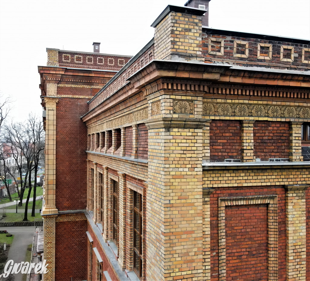 Tarnowskie Góry. Gryfy Staszica odzyskały blask