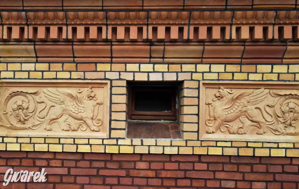 Tarnowskie Góry. Gryfy Staszica odzyskały blask