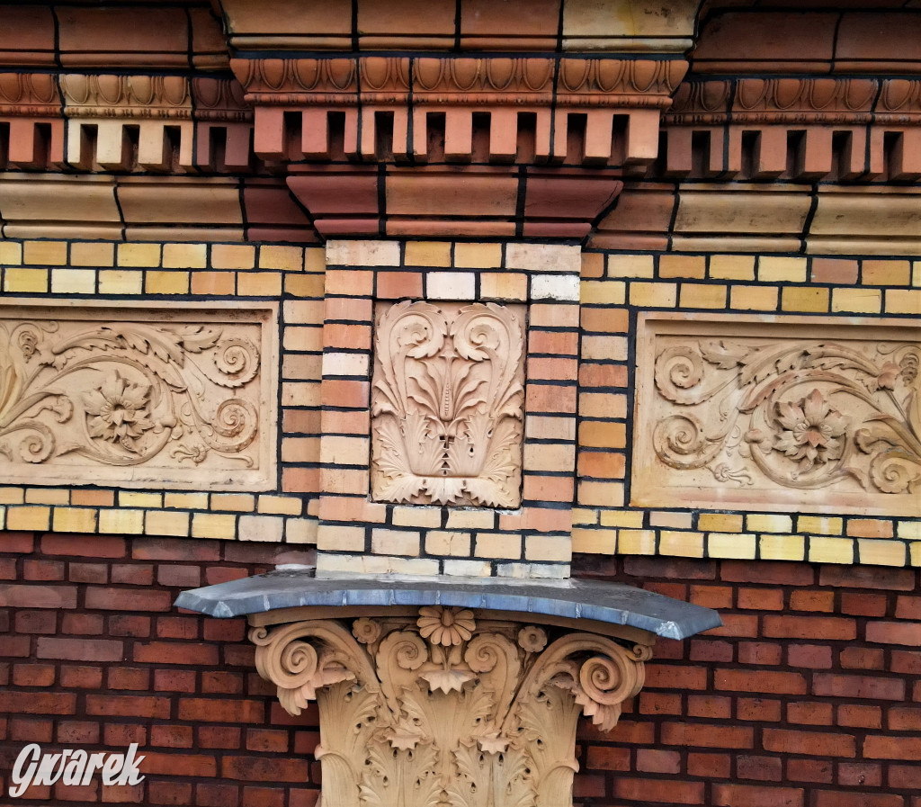 Tarnowskie Góry. Gryfy Staszica odzyskały blask