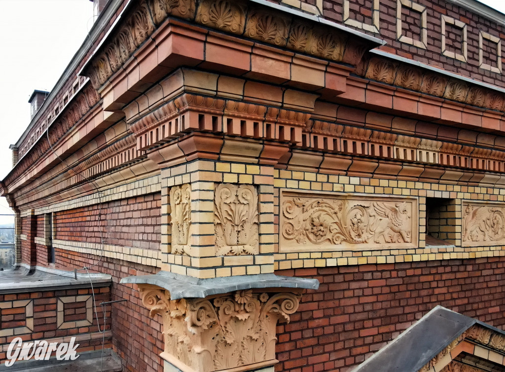 Tarnowskie Góry. Gryfy Staszica odzyskały blask