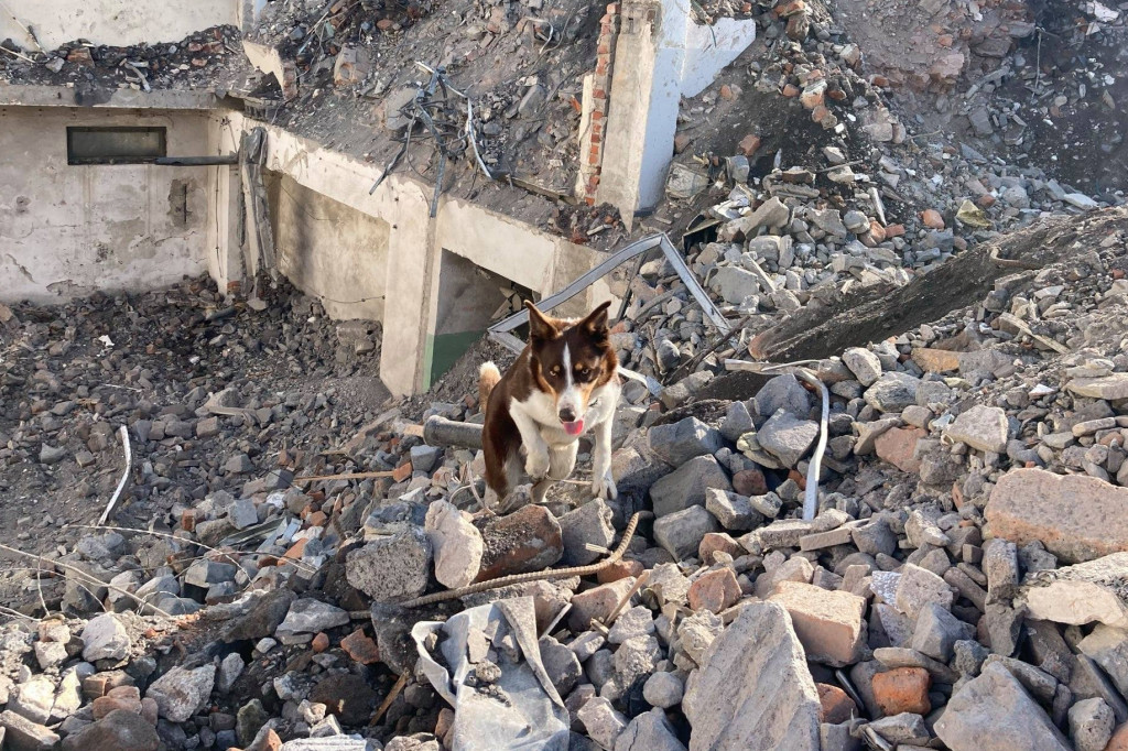 Skorzystali z okazji, szkolenie na gruzach biurowca