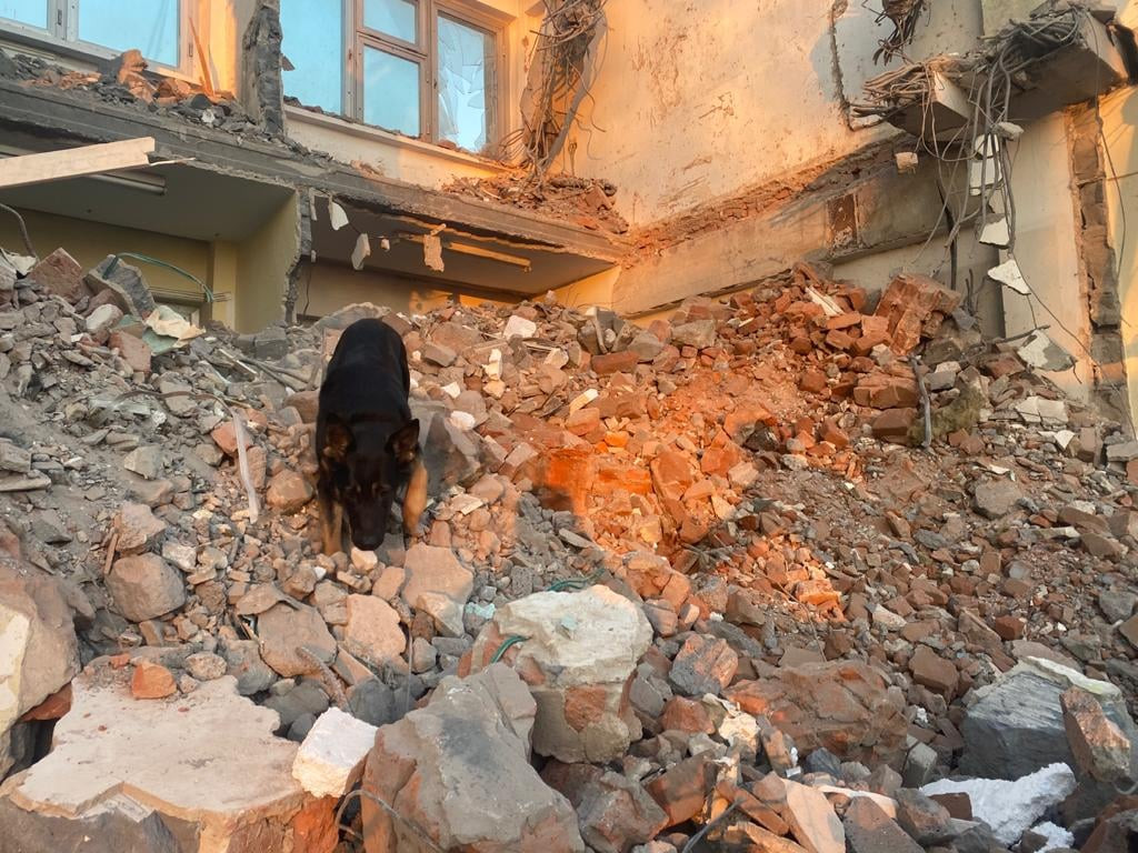 Skorzystali z okazji, szkolenie na gruzach biurowca