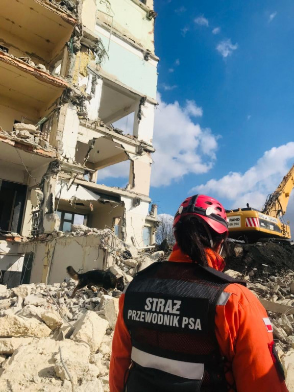 Skorzystali z okazji, szkolenie na gruzach biurowca