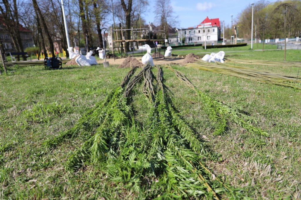 Żywa architektura powstaje w Lublińcu. Zielona altana w budowie