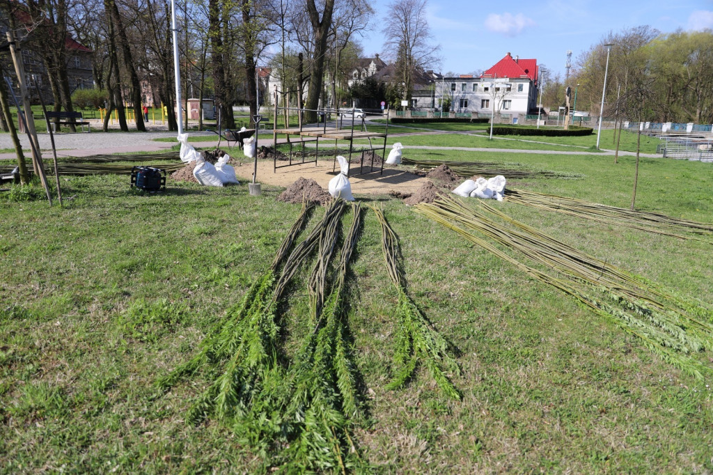 Żywa architektura powstaje w Lublińcu. Zielona altana w budowie