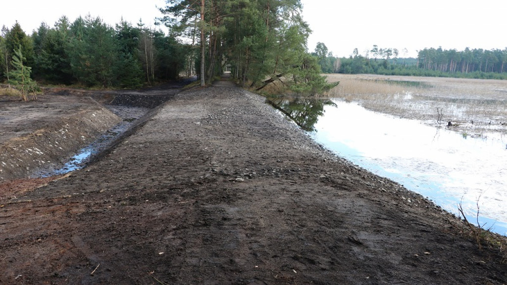 Grobla w rezerwacie Jeleniak Mikuliny odnowiona