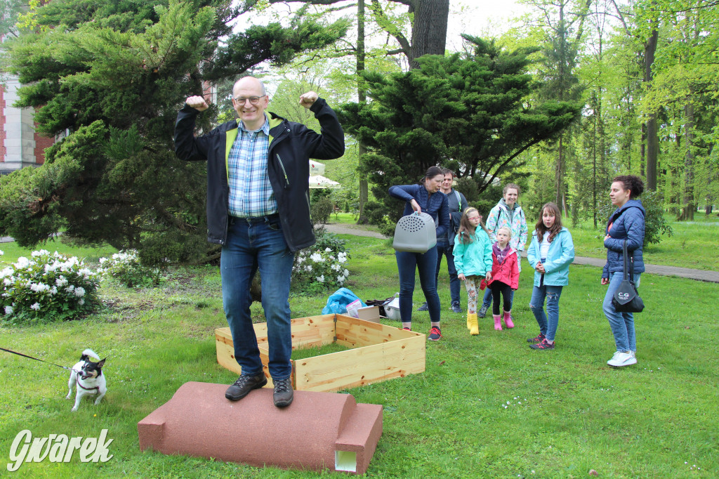 Iwonka, Halinka i Leszek. Trzy jeże zamieszkały w parku