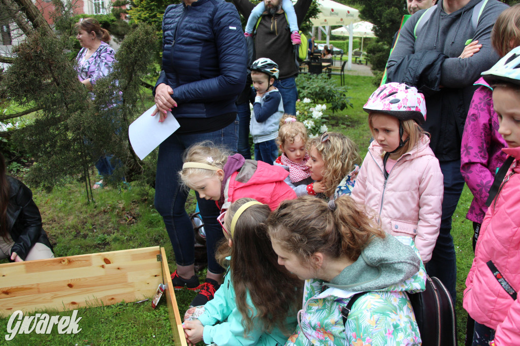 Iwonka, Halinka i Leszek. Trzy jeże zamieszkały w parku