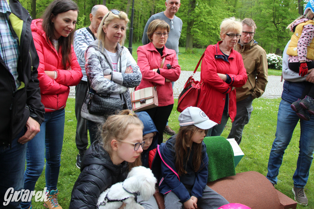 Iwonka, Halinka i Leszek. Trzy jeże zamieszkały w parku