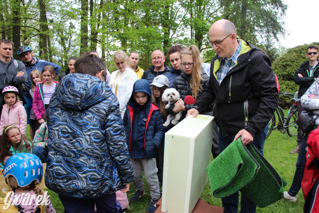Iwonka, Halinka i Leszek. Trzy jeże zamieszkały w parku