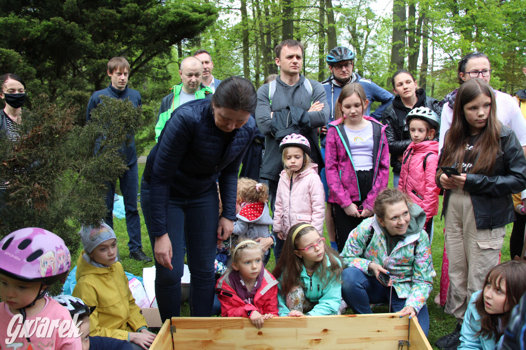 Iwonka, Halinka i Leszek. Trzy jeże zamieszkały w parku