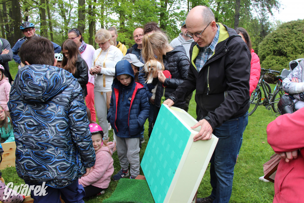 Iwonka, Halinka i Leszek. Trzy jeże zamieszkały w parku
