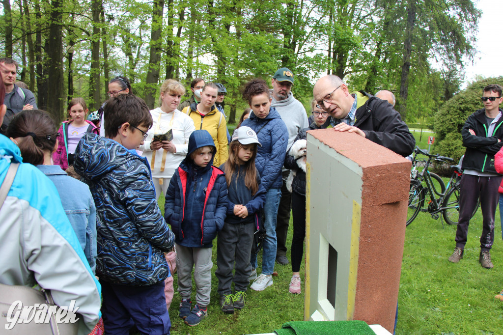 Iwonka, Halinka i Leszek. Trzy jeże zamieszkały w parku